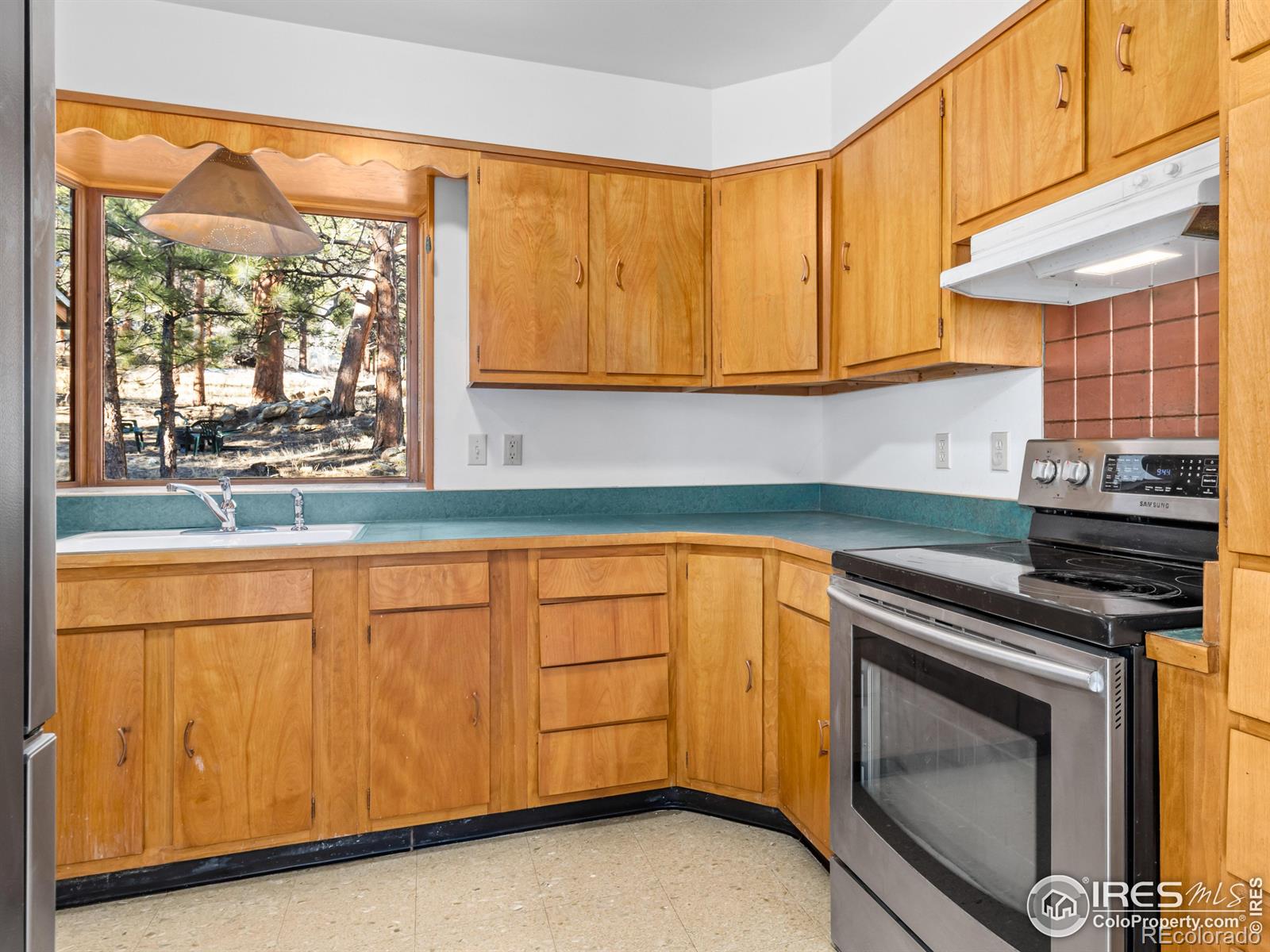 MLS Image #16 for 1038  lexington lane,estes park, Colorado