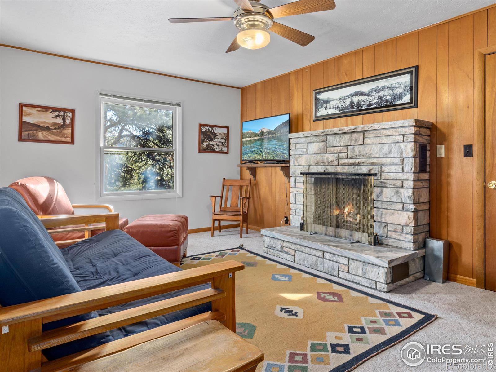 MLS Image #23 for 1038  lexington lane,estes park, Colorado