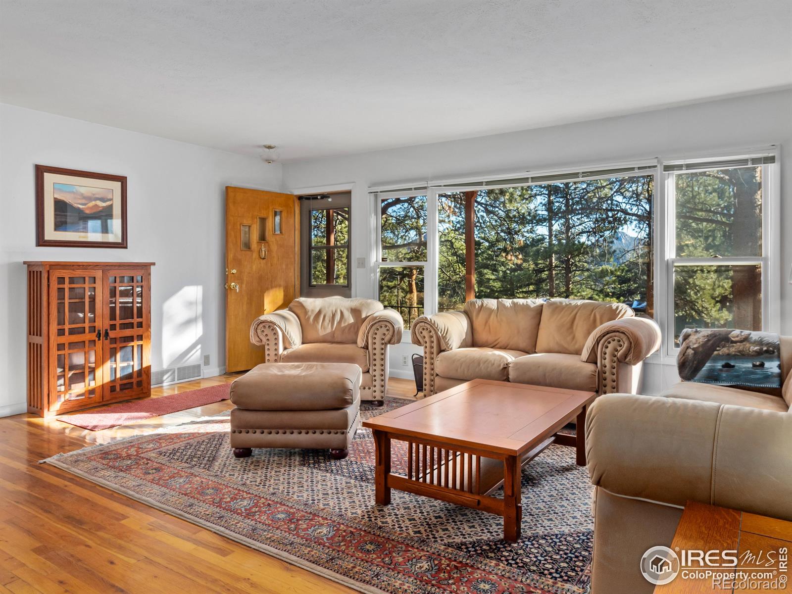 MLS Image #8 for 1038  lexington lane,estes park, Colorado