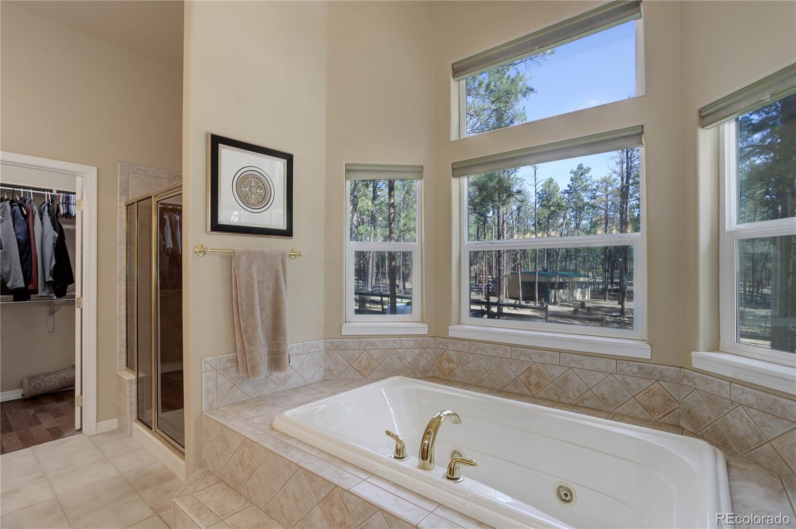 MLS Image #12 for 8890  hodgen road,colorado springs, Colorado