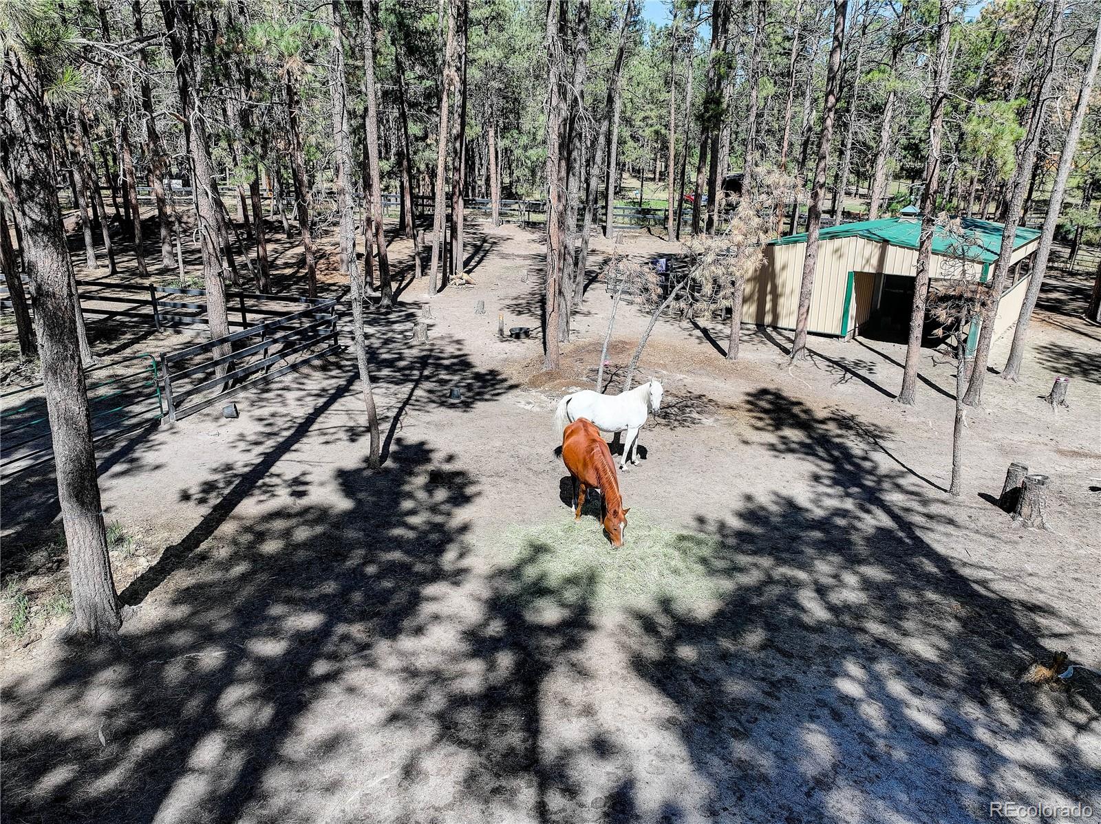 MLS Image #28 for 8890  hodgen road,colorado springs, Colorado