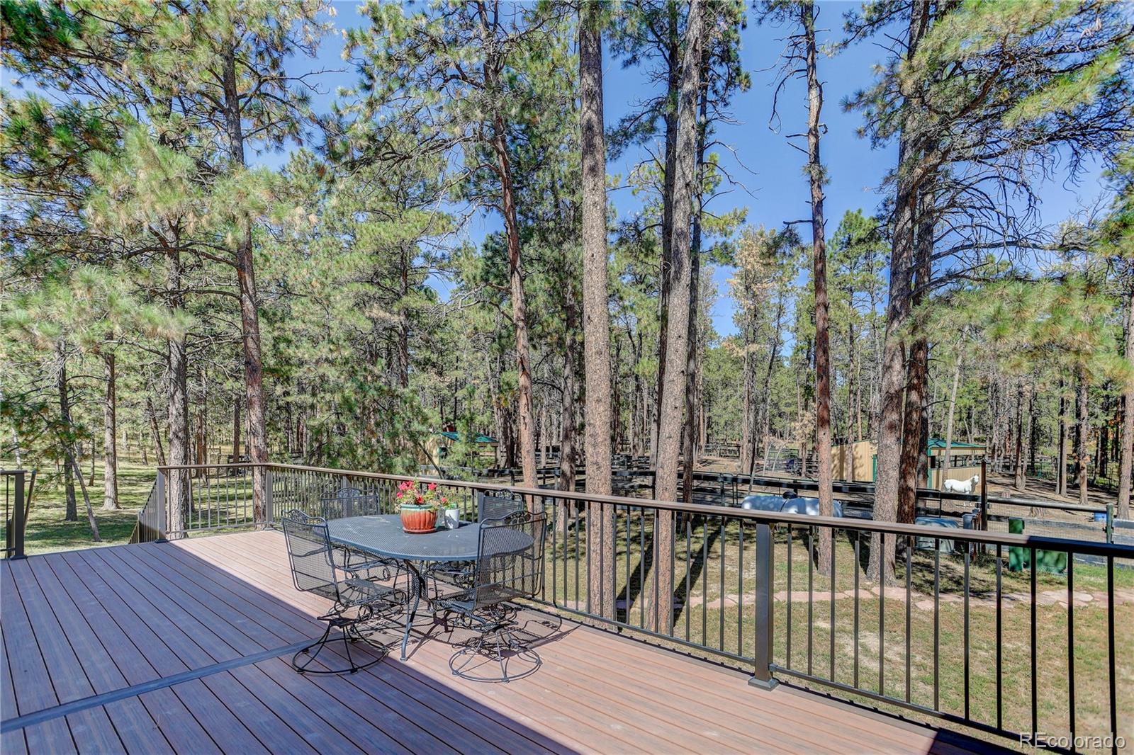 MLS Image #5 for 8890  hodgen road,colorado springs, Colorado