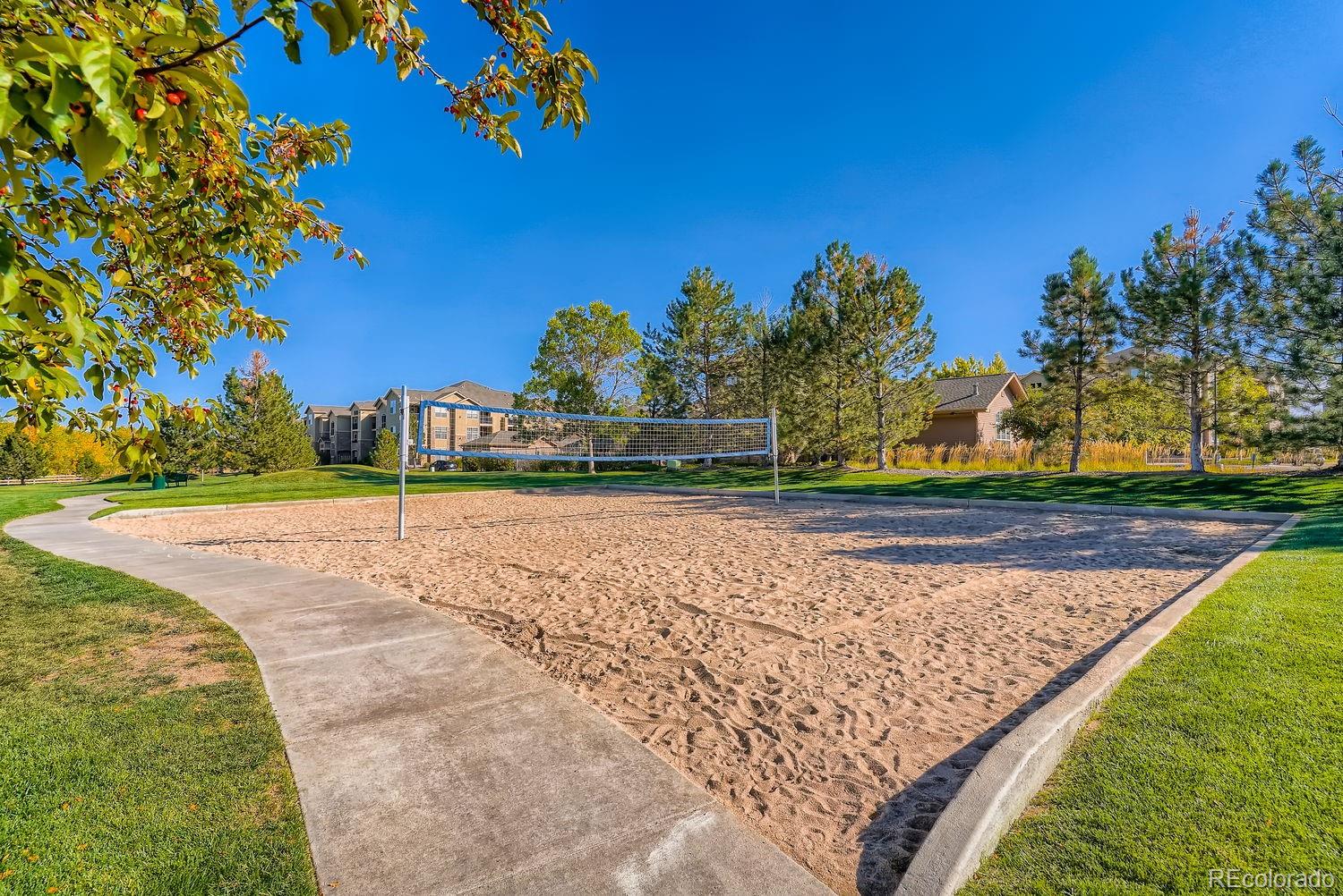 MLS Image #14 for 9142  lodestar lane,parker, Colorado