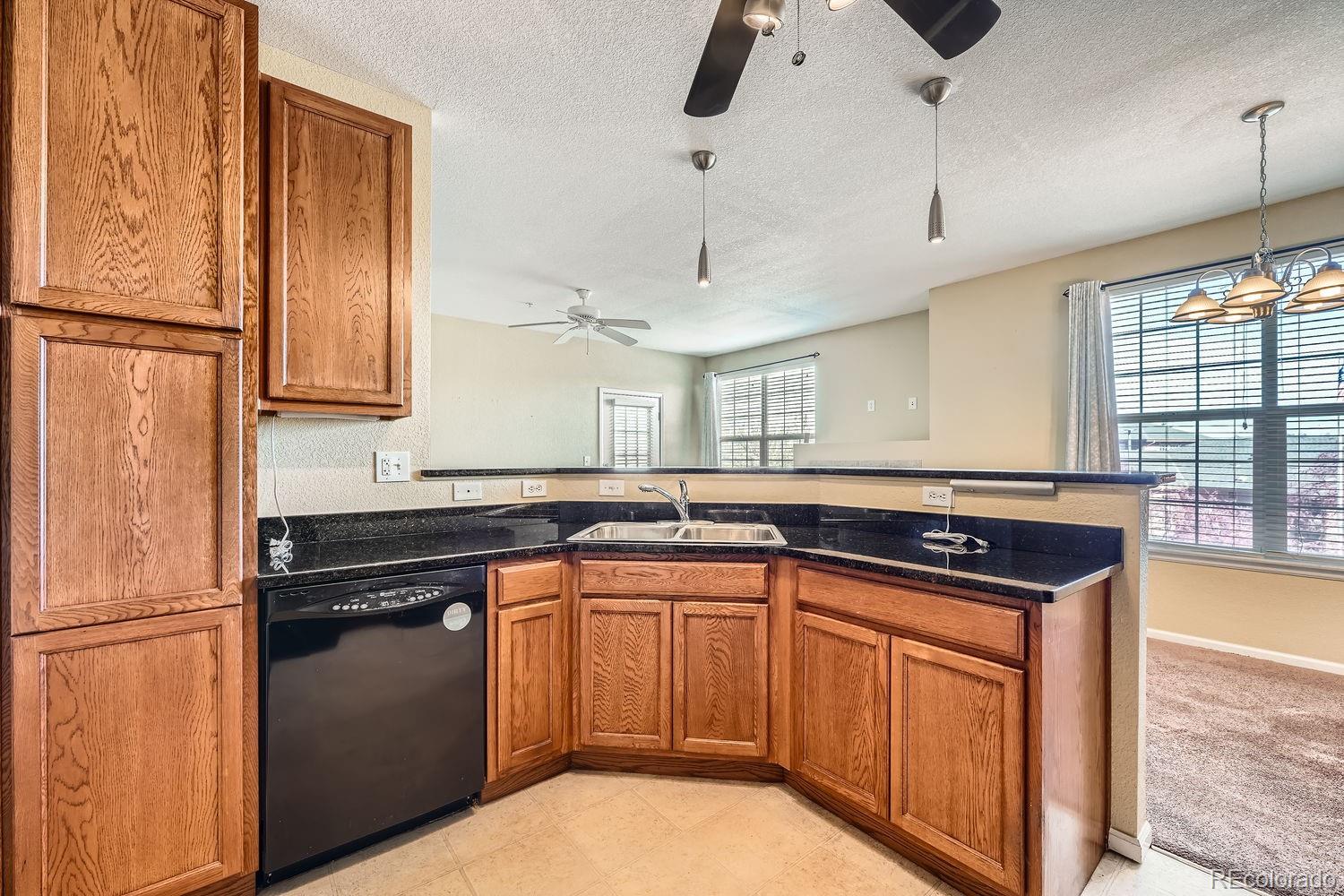 MLS Image #3 for 9142  lodestar lane,parker, Colorado