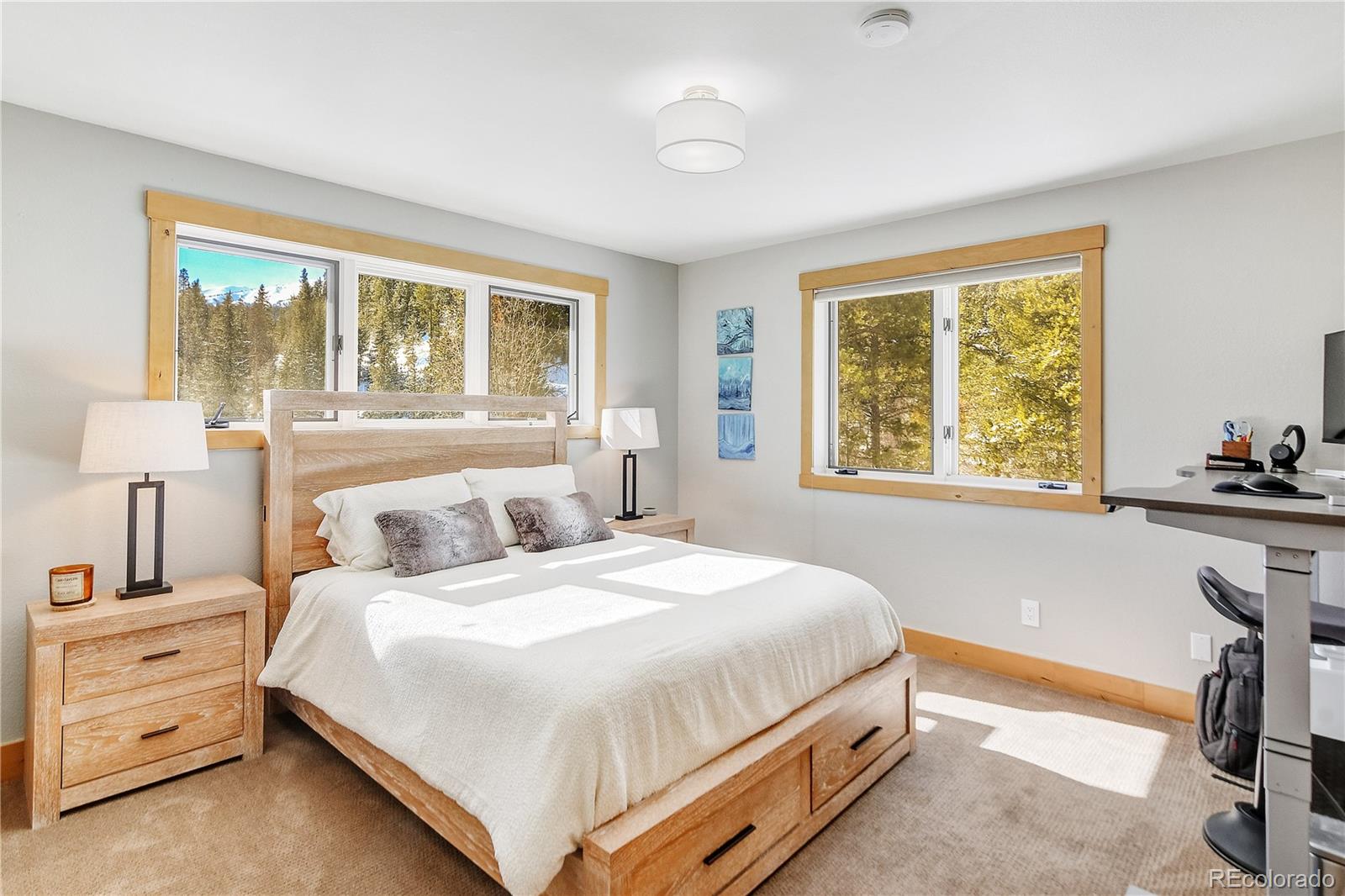 MLS Image #16 for 6292  barton road,breckenridge, Colorado