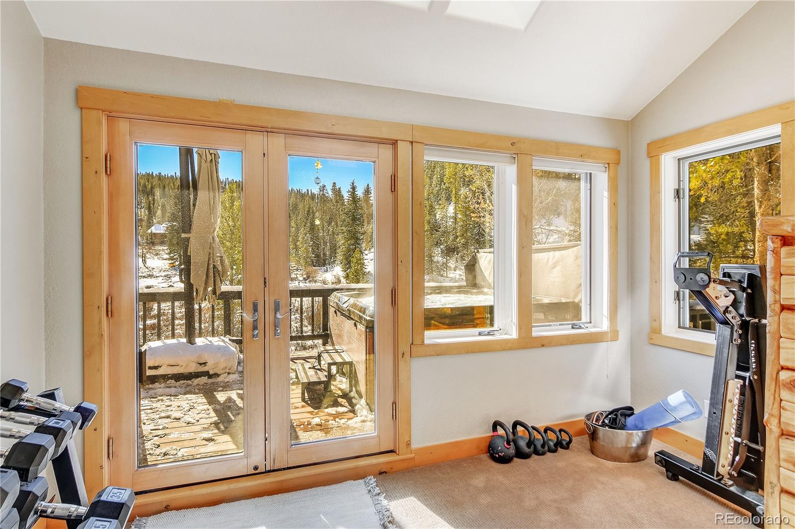 MLS Image #20 for 6292  barton road,breckenridge, Colorado