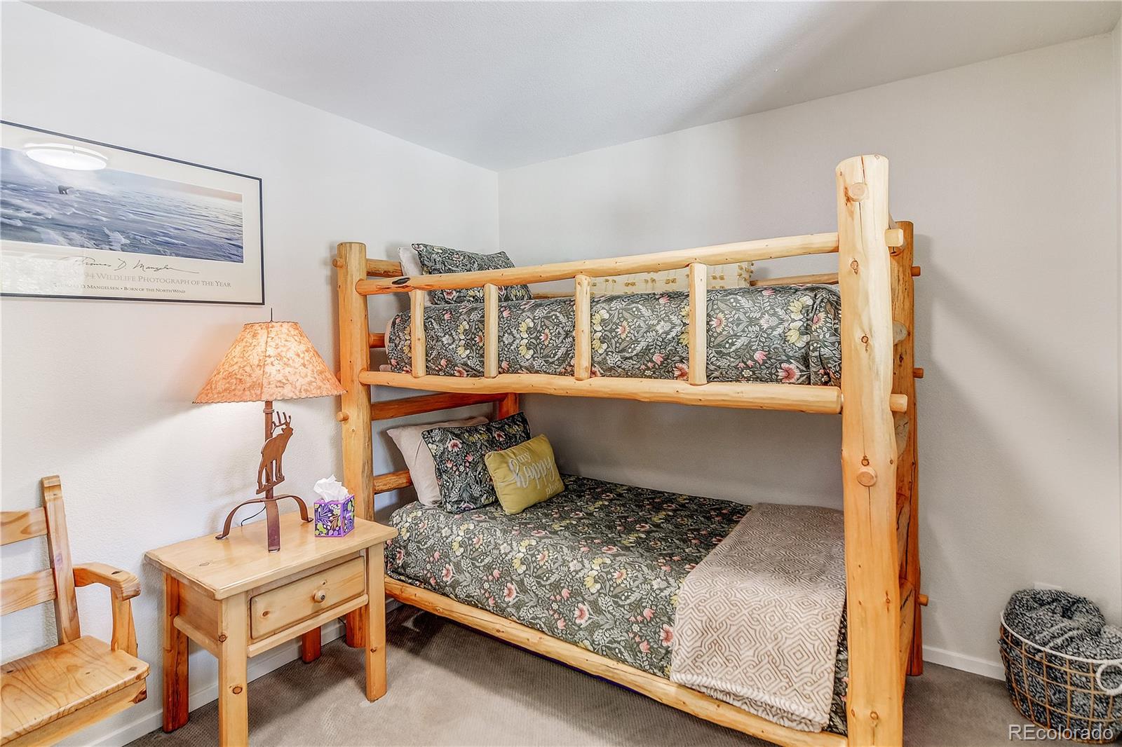 MLS Image #28 for 6292  barton road,breckenridge, Colorado