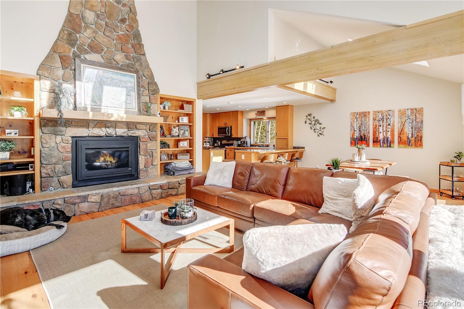 MLS Image #4 for 6292  barton road,breckenridge, Colorado