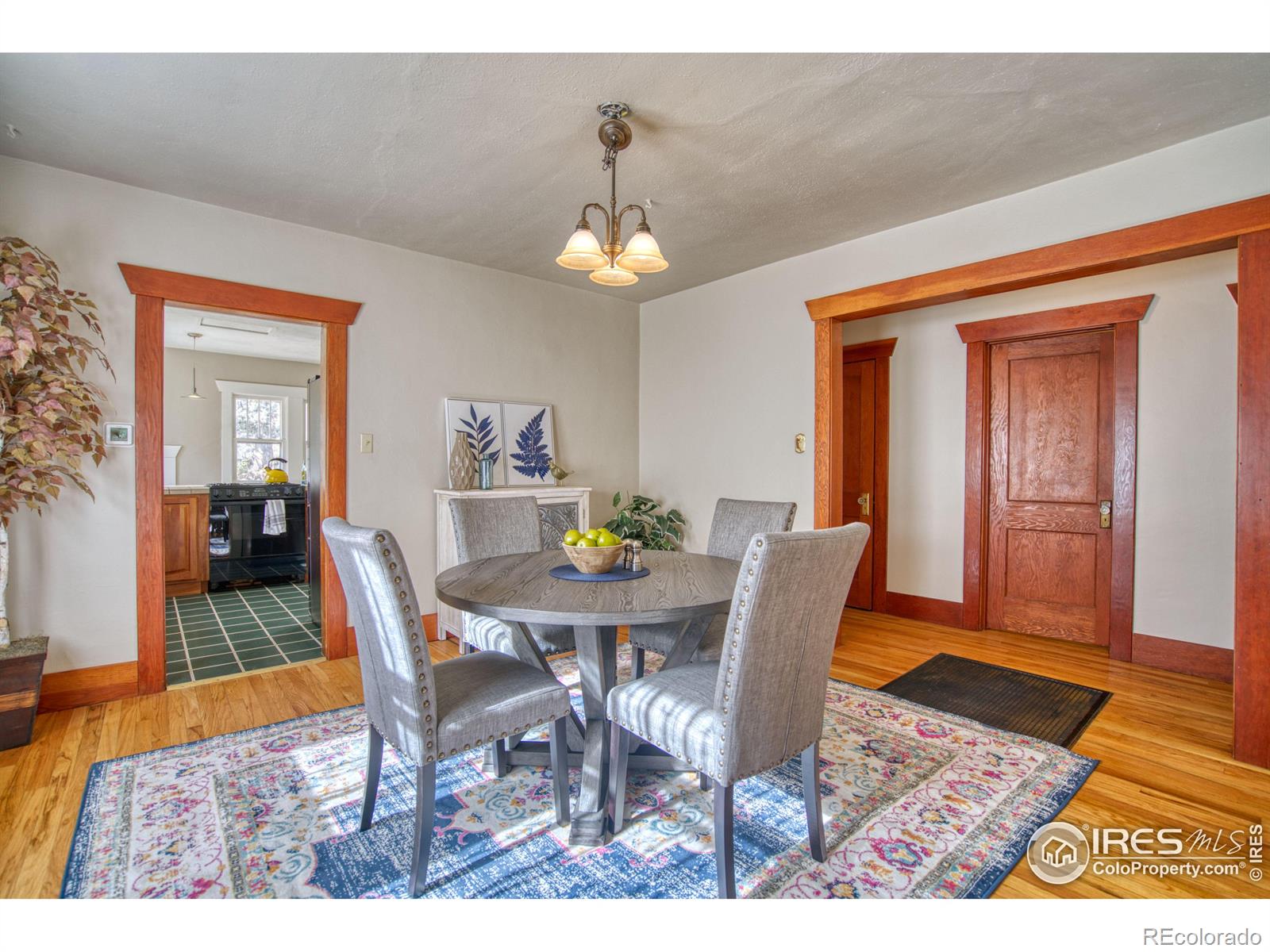 MLS Image #8 for 743  gay street,longmont, Colorado