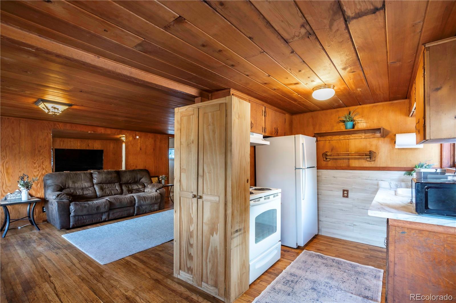 MLS Image #11 for 296  anderson road,bailey, Colorado