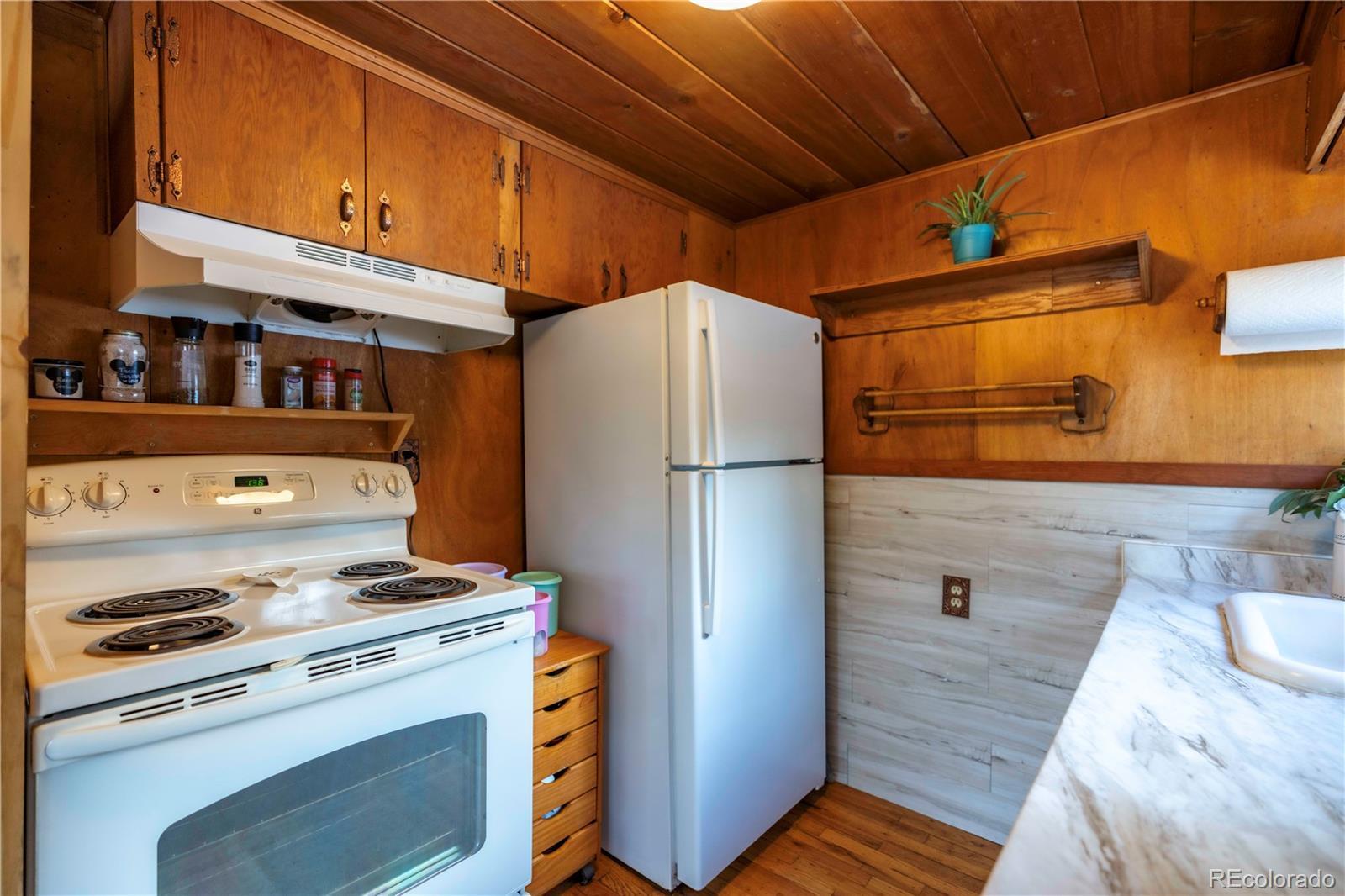 MLS Image #12 for 296  anderson road,bailey, Colorado