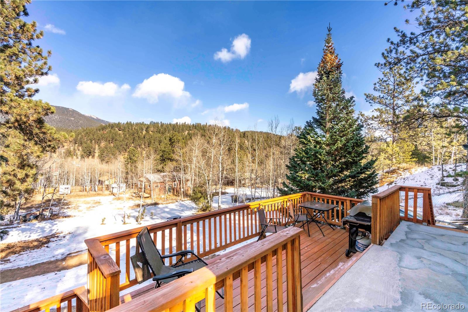 MLS Image #14 for 296  anderson road,bailey, Colorado