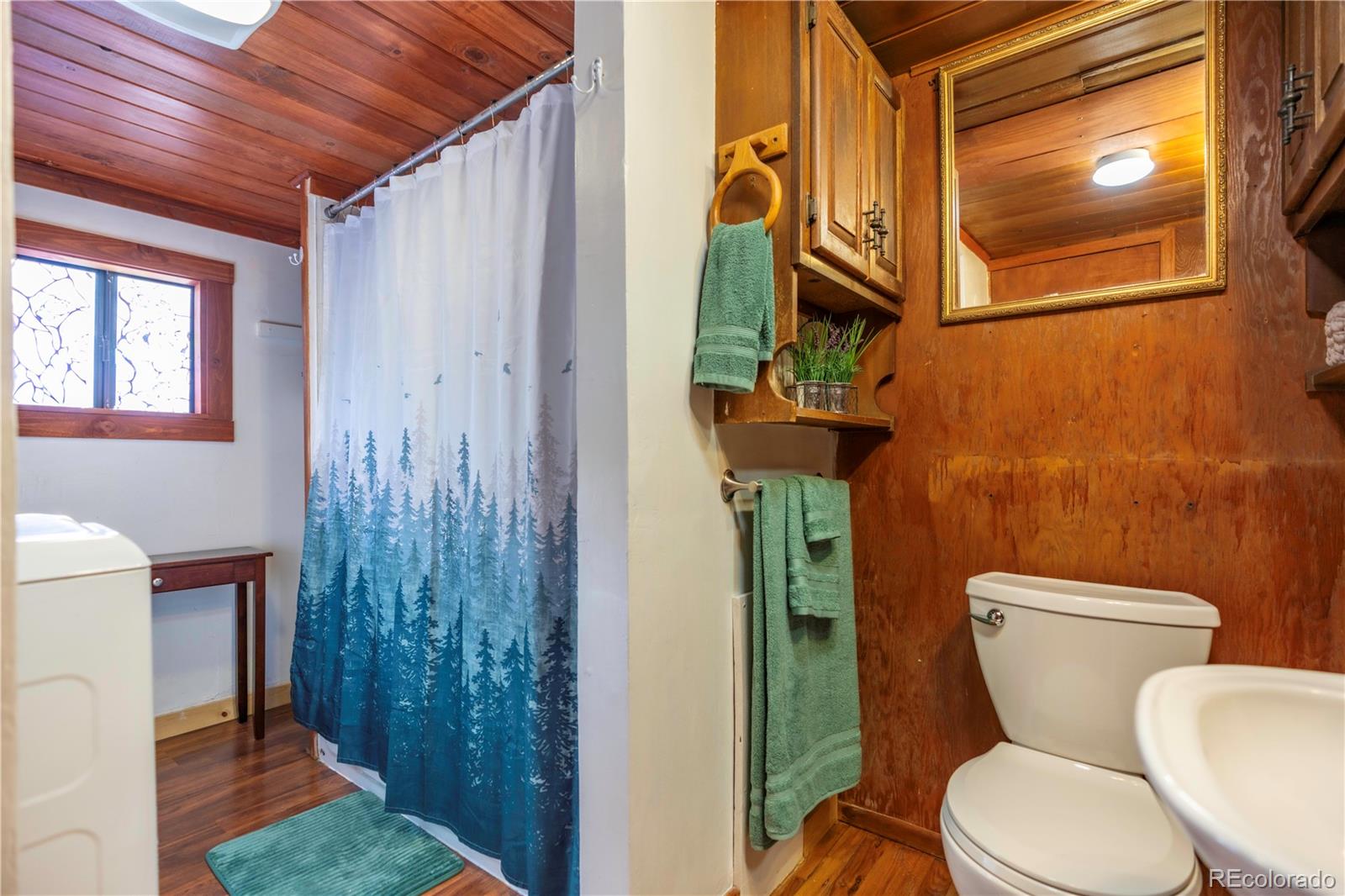 MLS Image #8 for 296  anderson road,bailey, Colorado