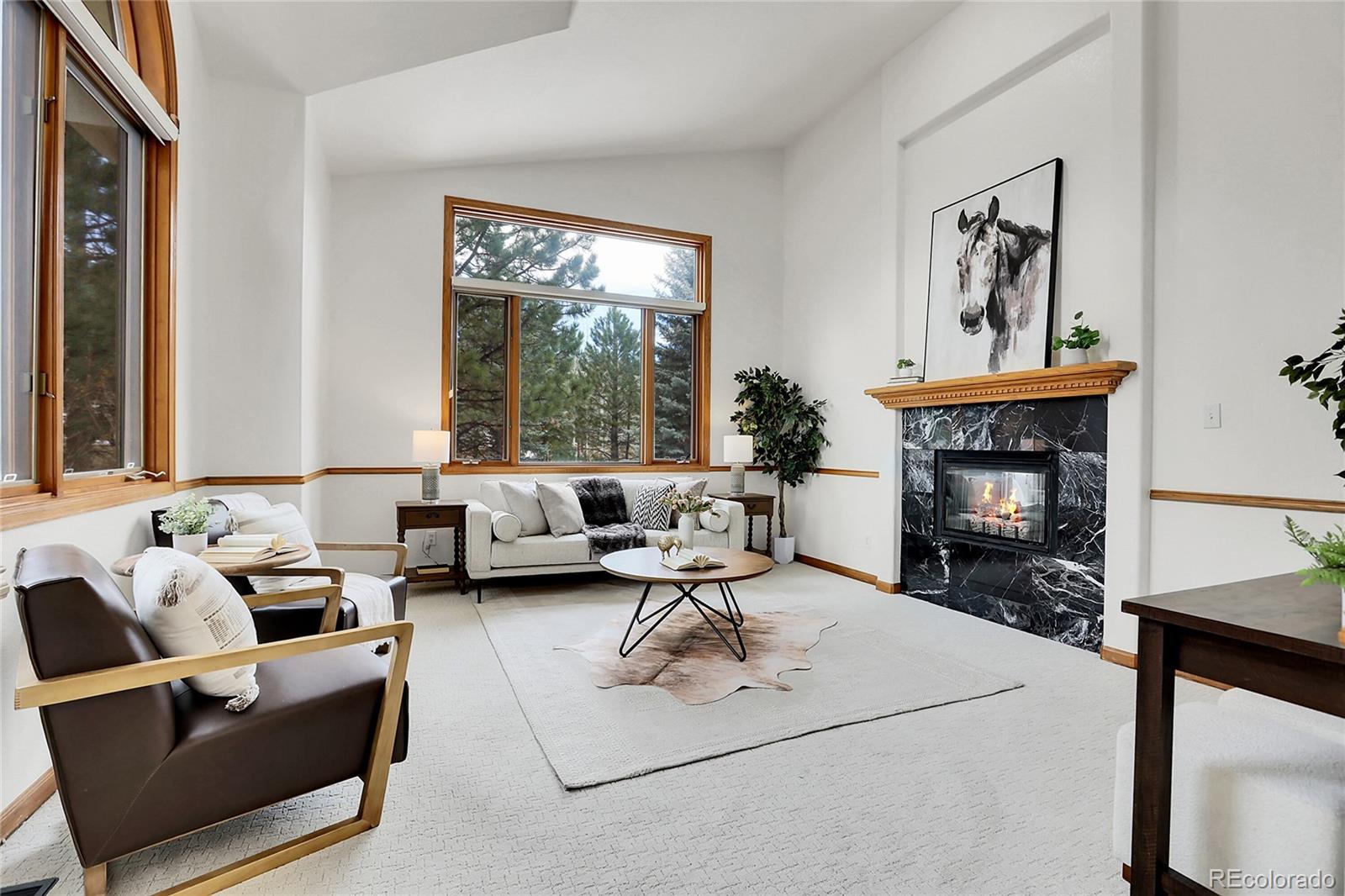 MLS Image #20 for 32351  little bear court,evergreen, Colorado