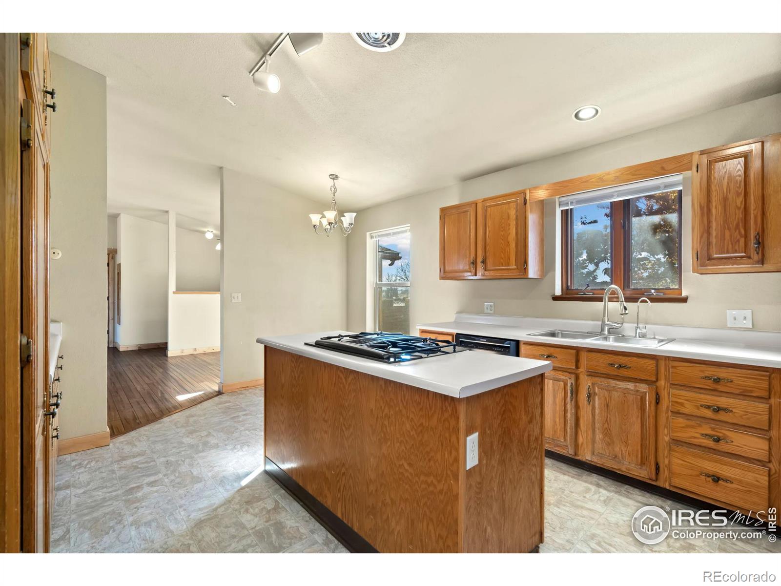 MLS Image #11 for 4225  kechter road,fort collins, Colorado