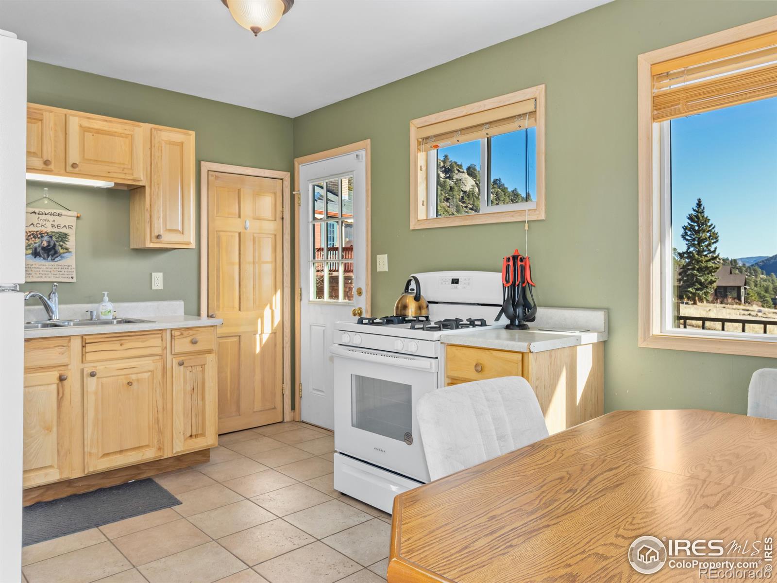 MLS Image #13 for 540  laurel lane,estes park, Colorado