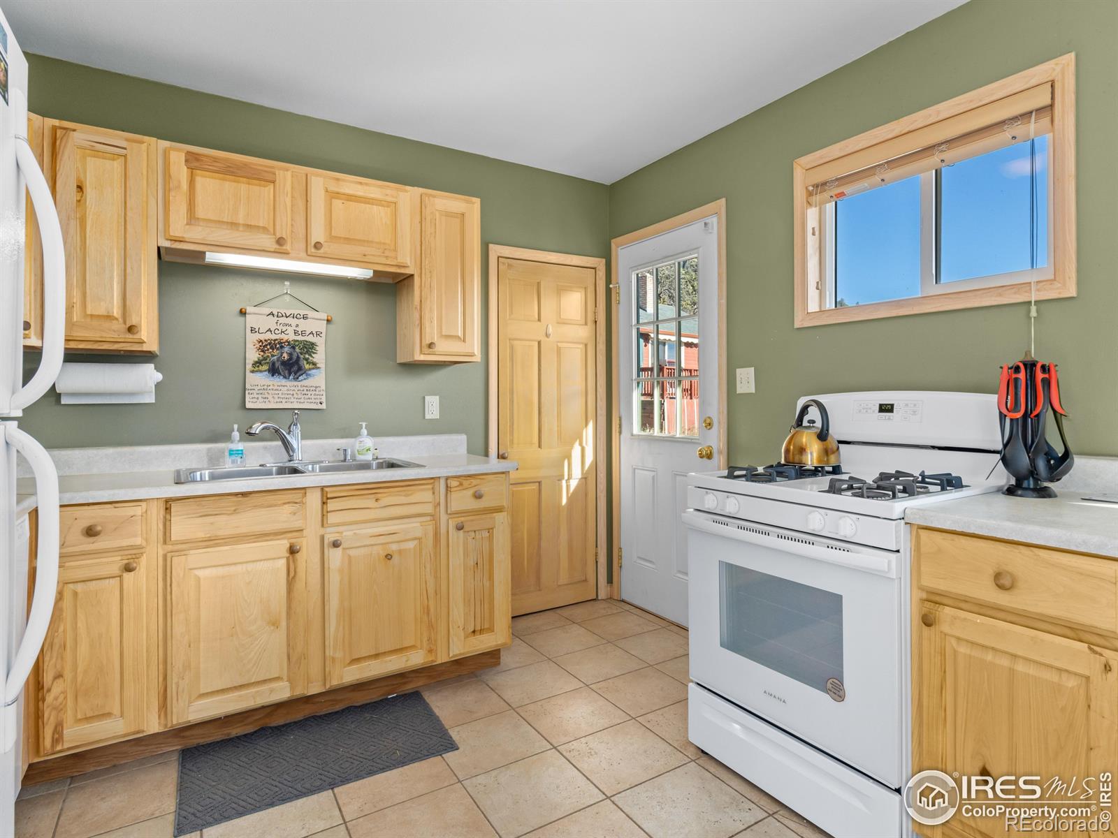 MLS Image #15 for 540  laurel lane,estes park, Colorado