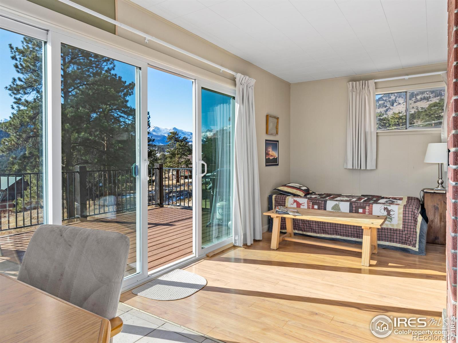 MLS Image #21 for 540  laurel lane,estes park, Colorado