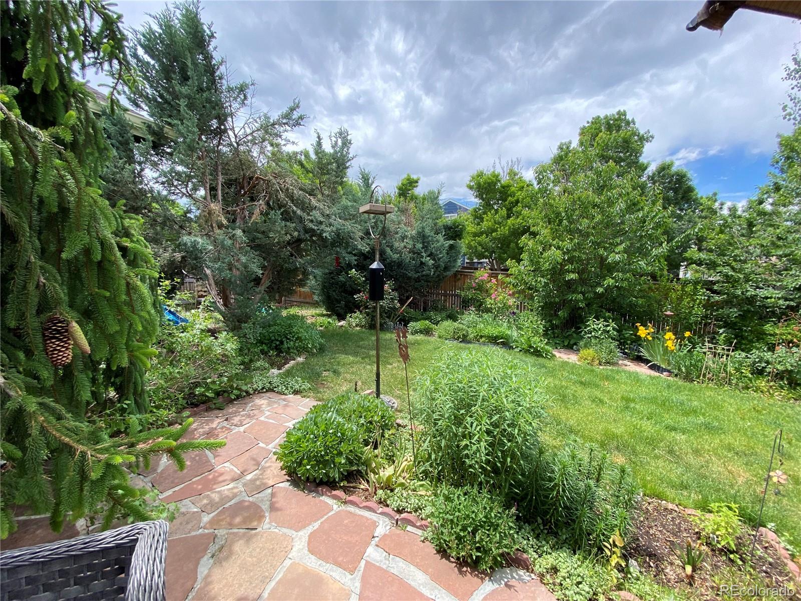 MLS Image #22 for 16309  hedgeway drive,parker, Colorado