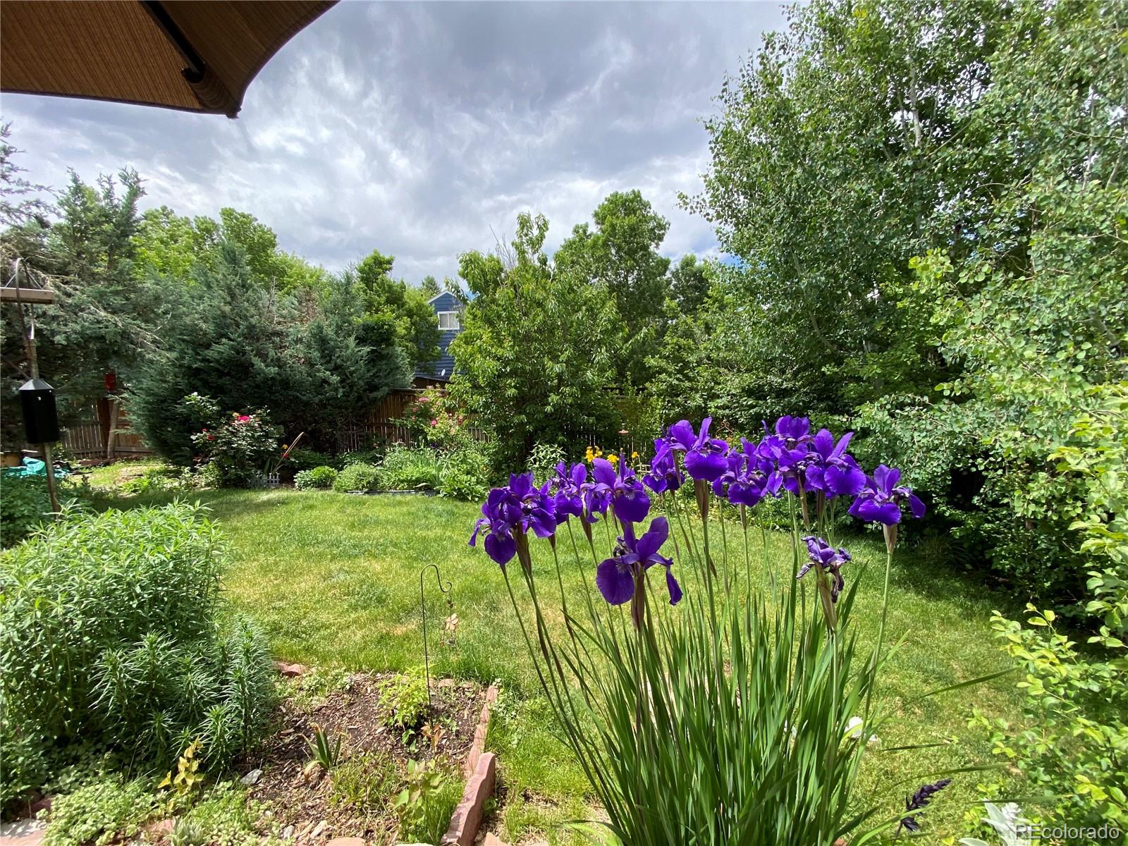 MLS Image #30 for 16309  hedgeway drive,parker, Colorado