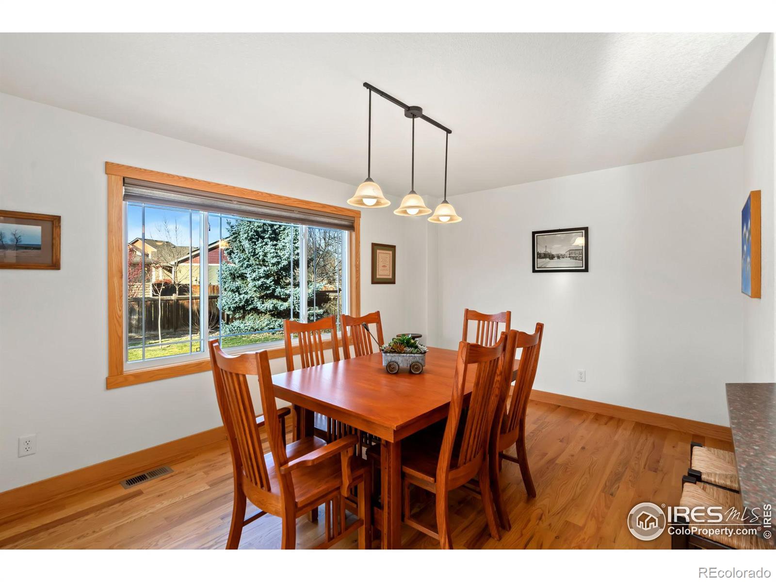 MLS Image #7 for 1405 n tributary court,fort collins, Colorado