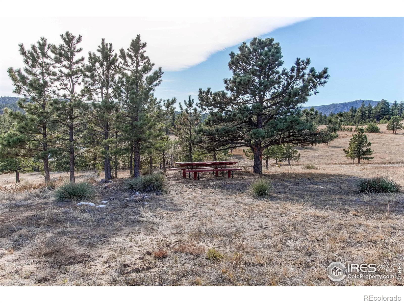 MLS Image #28 for 580  saddle notch road,loveland, Colorado