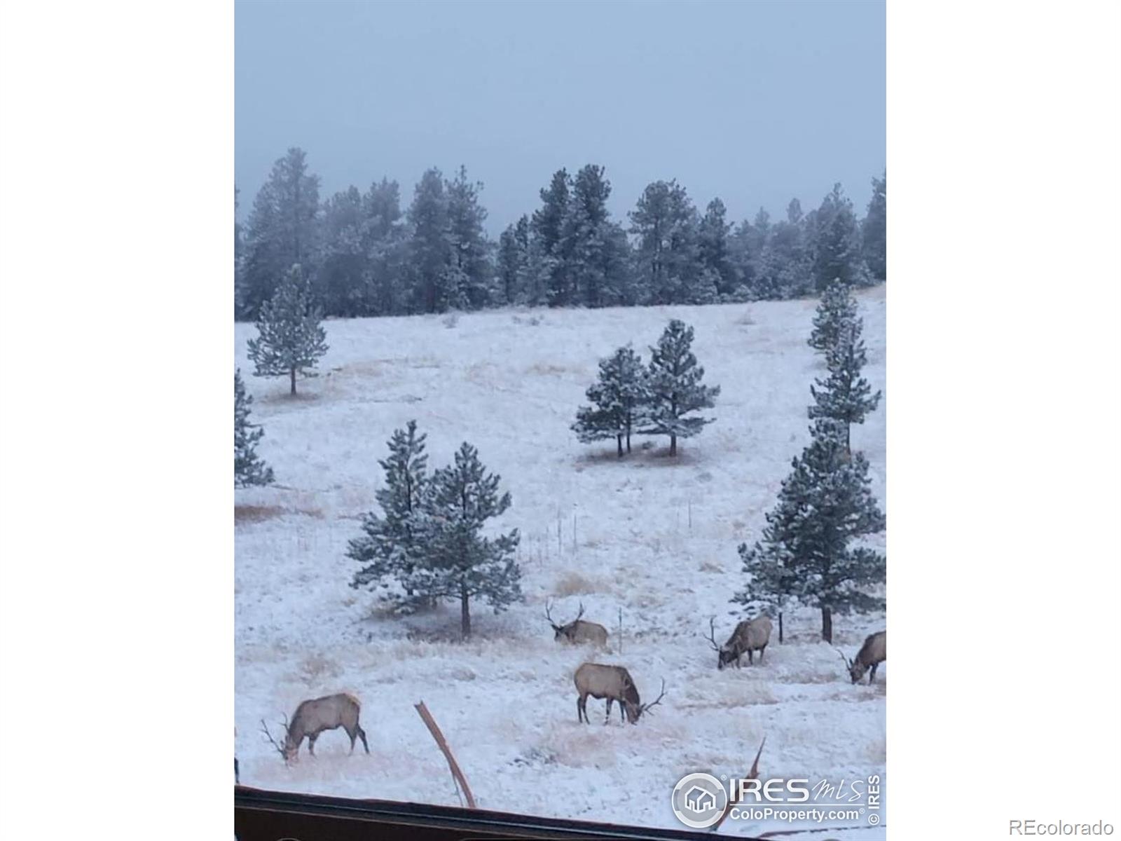 MLS Image #37 for 580  saddle notch road,loveland, Colorado