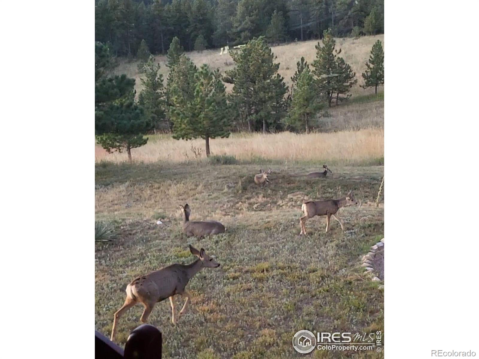 MLS Image #39 for 580  saddle notch road,loveland, Colorado