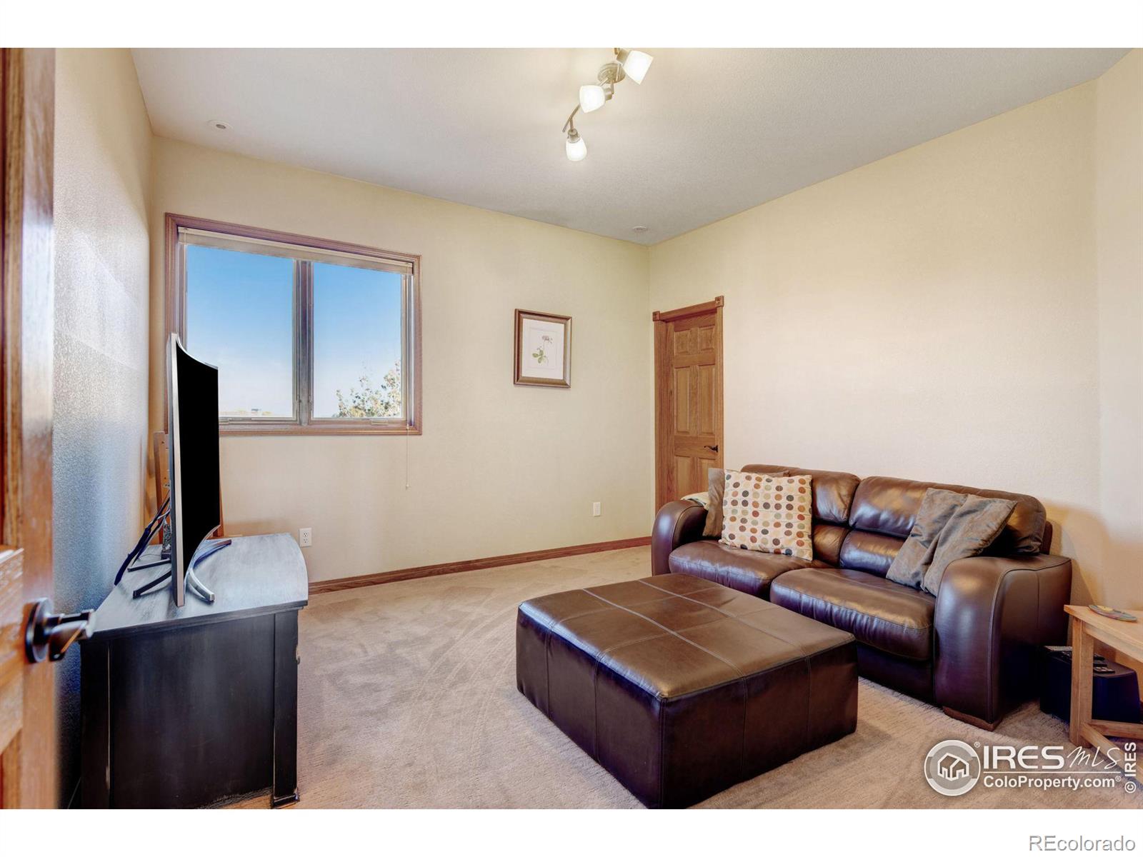 MLS Image #12 for 8881  longs peak circle,windsor, Colorado