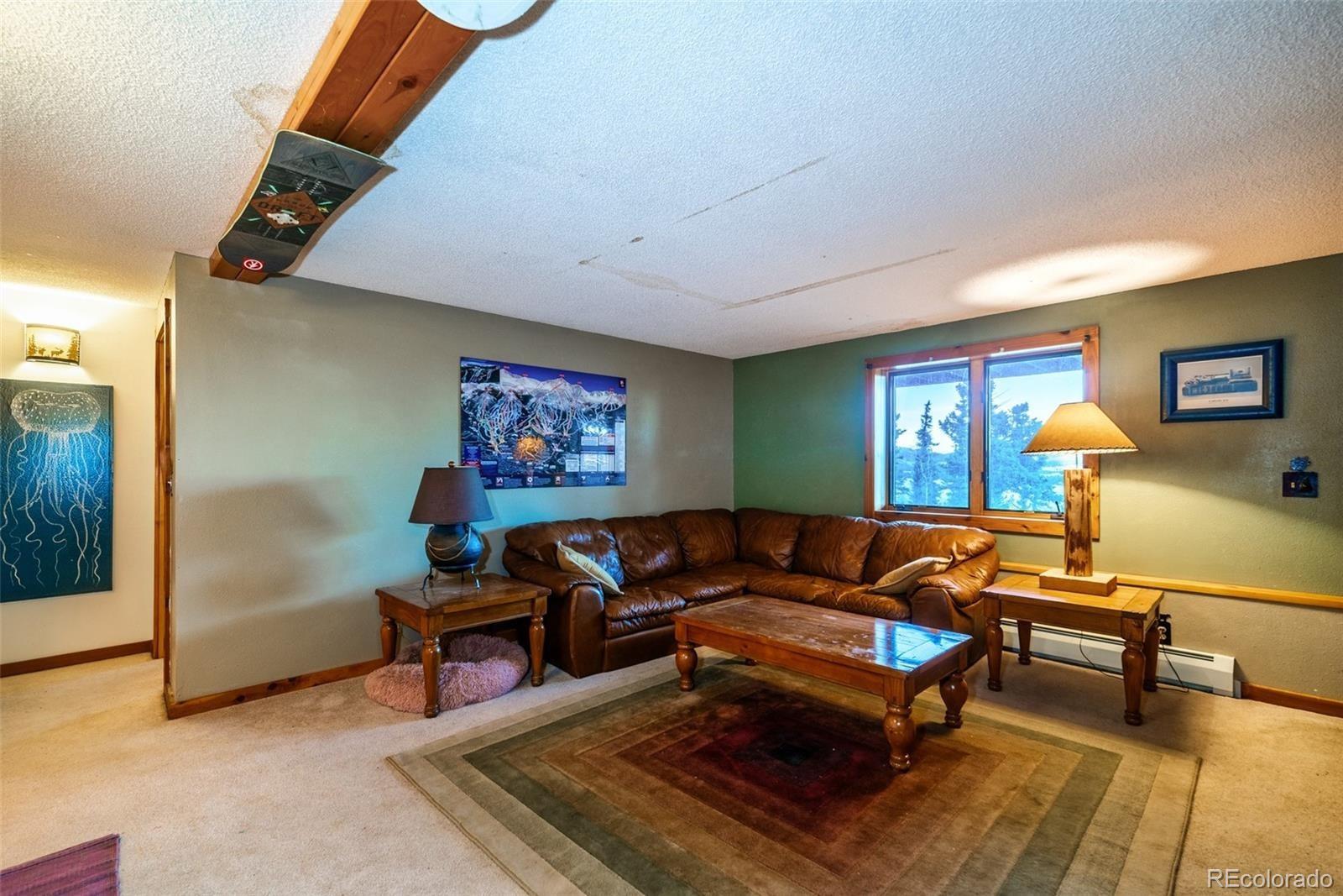 MLS Image #21 for 597  sheep ridge road,fairplay, Colorado