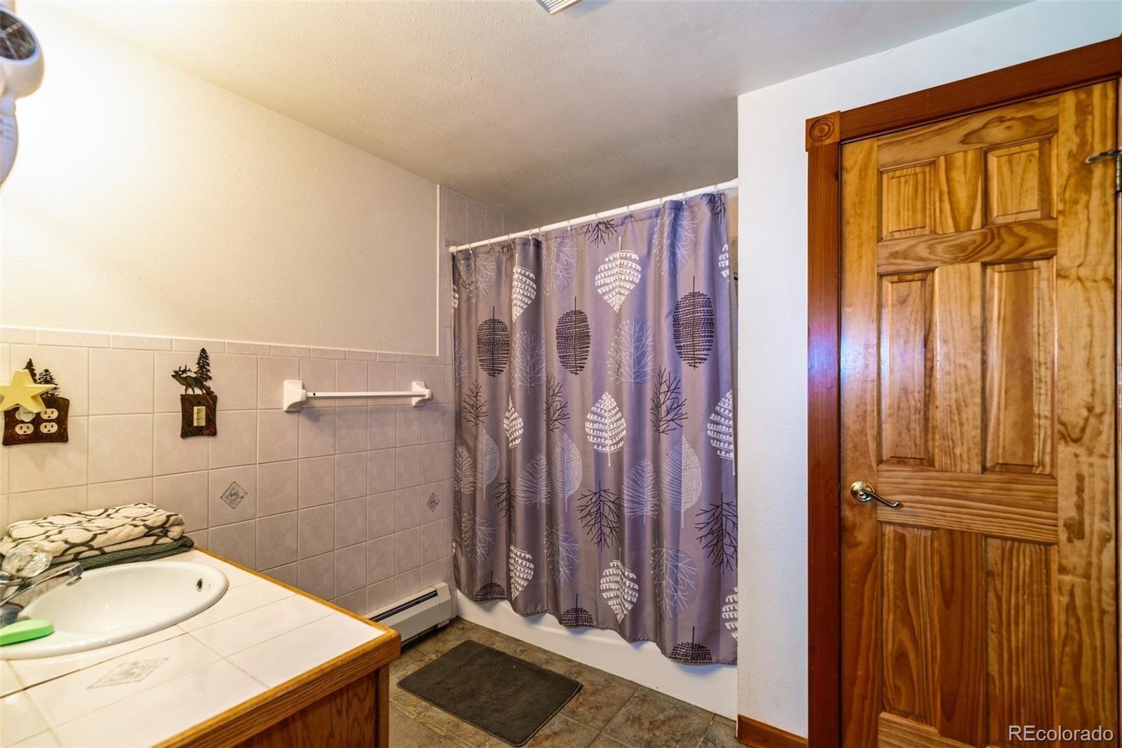 MLS Image #27 for 597  sheep ridge road,fairplay, Colorado