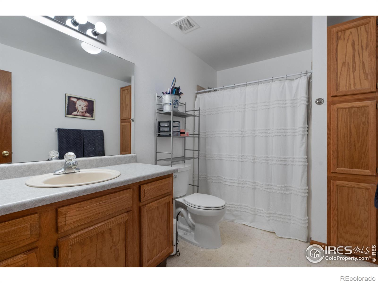 MLS Image #10 for 3810  hamilton avenue,wellington, Colorado