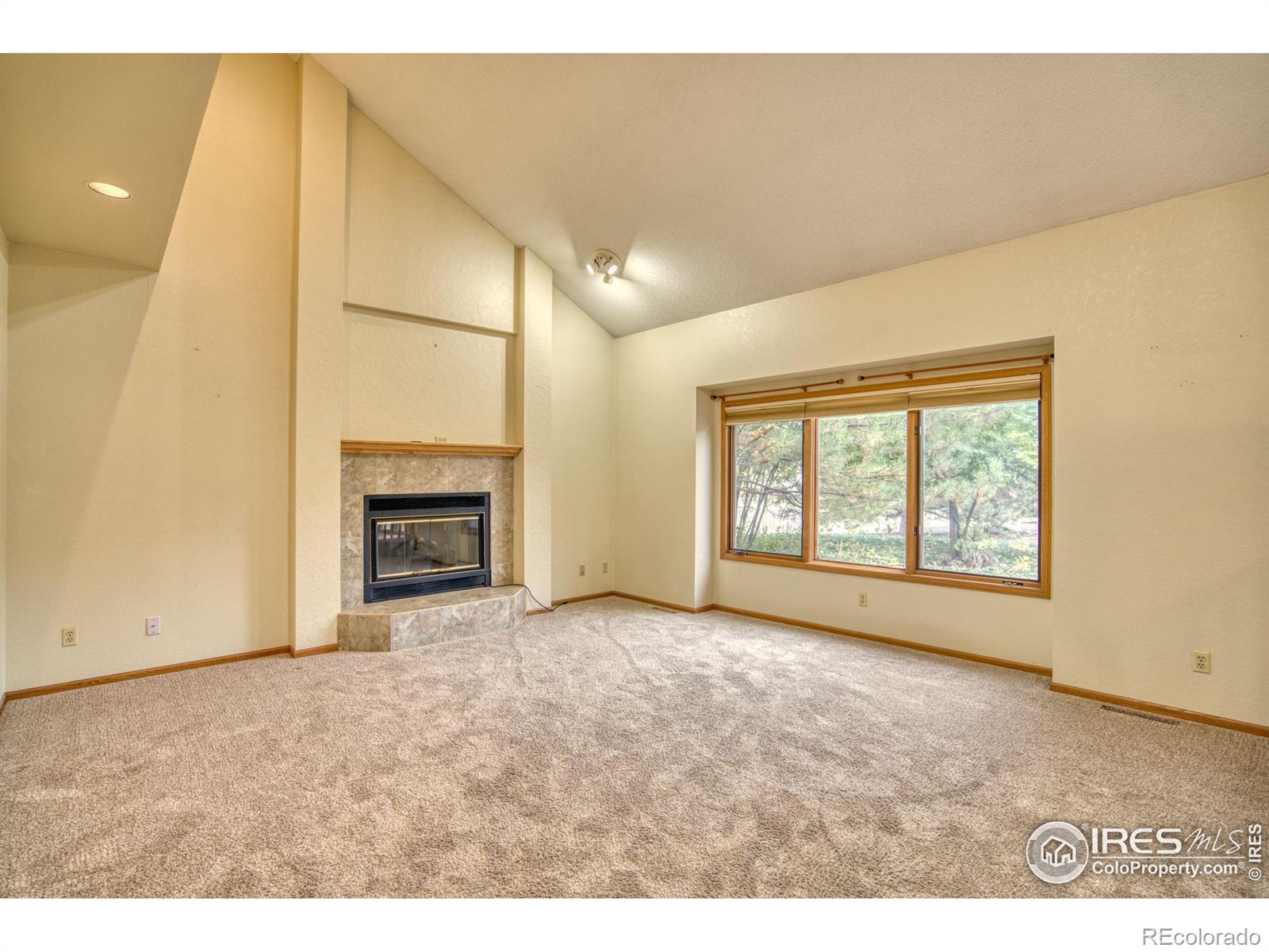 MLS Image #9 for 2264  evergreen place,loveland, Colorado