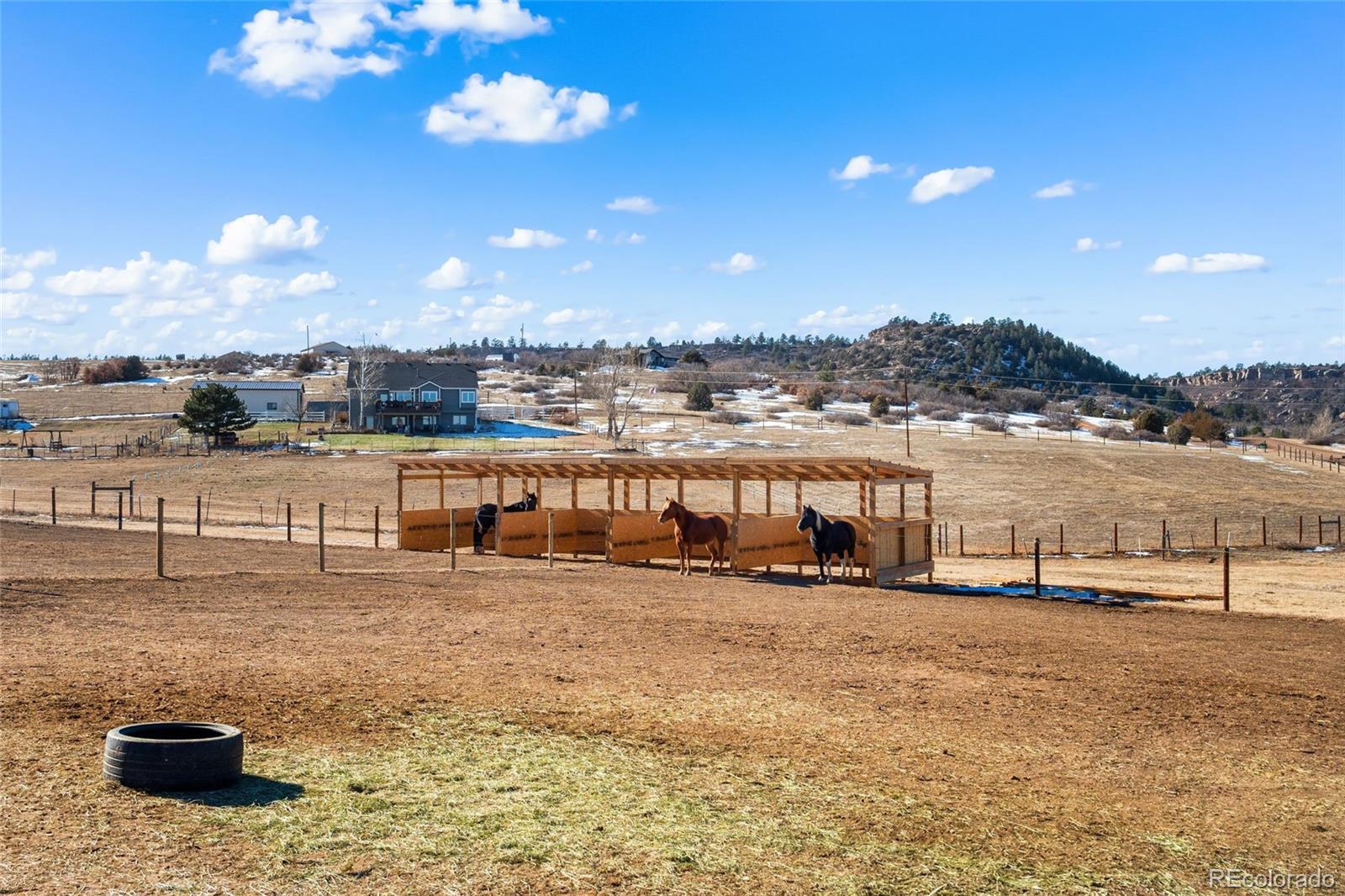 MLS Image #28 for 1618  castlewood drive,franktown, Colorado