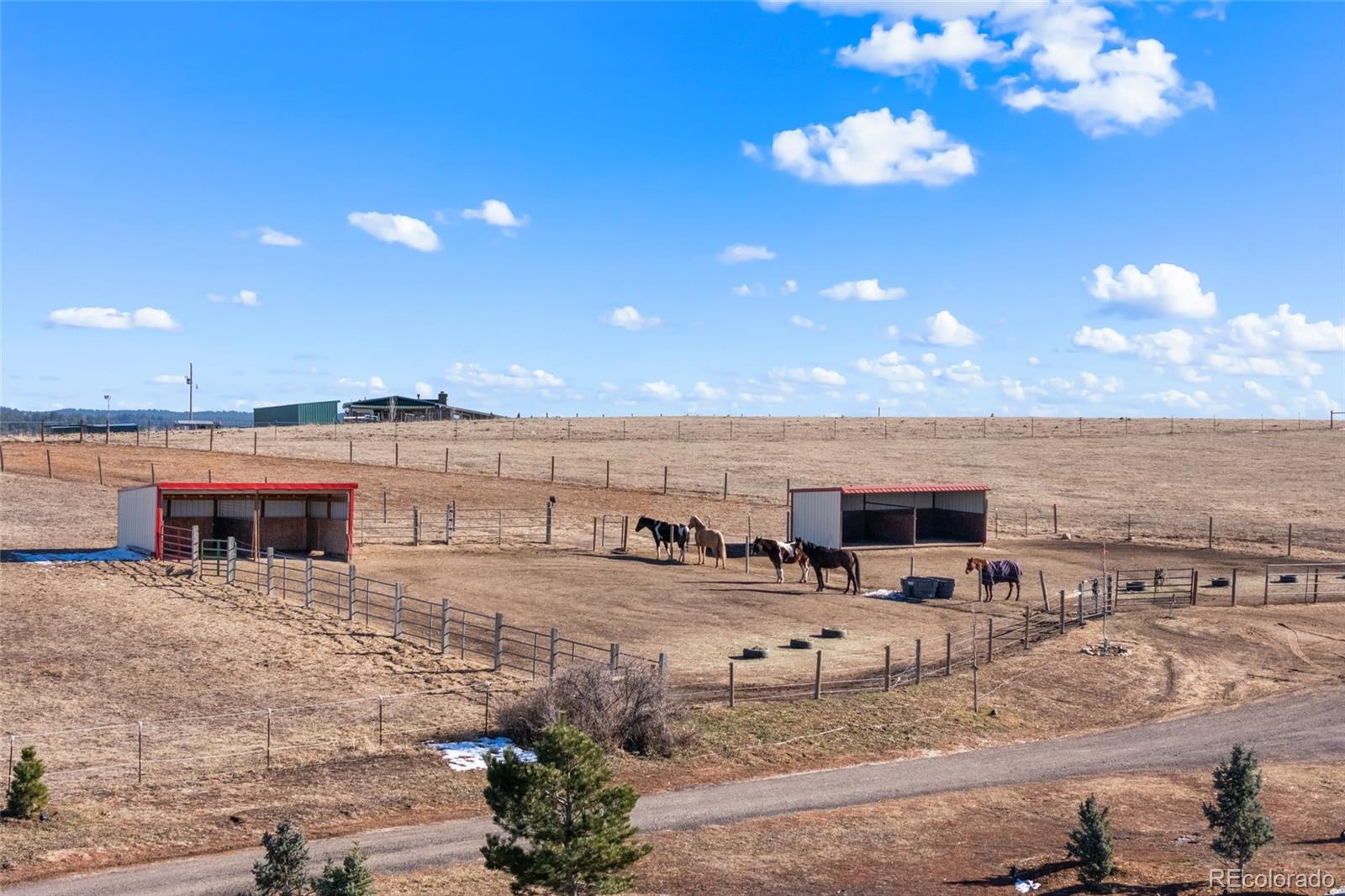 MLS Image #40 for 1618  castlewood drive,franktown, Colorado