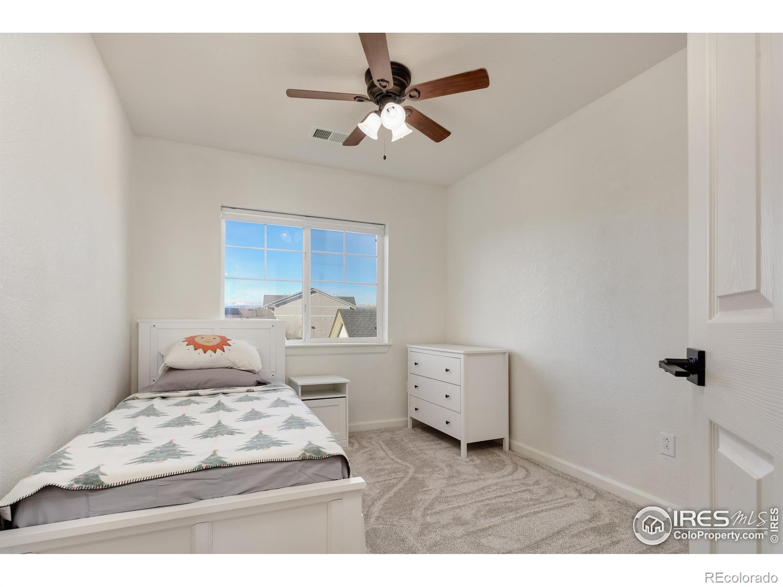 MLS Image #18 for 1263  hummingbird circle,longmont, Colorado