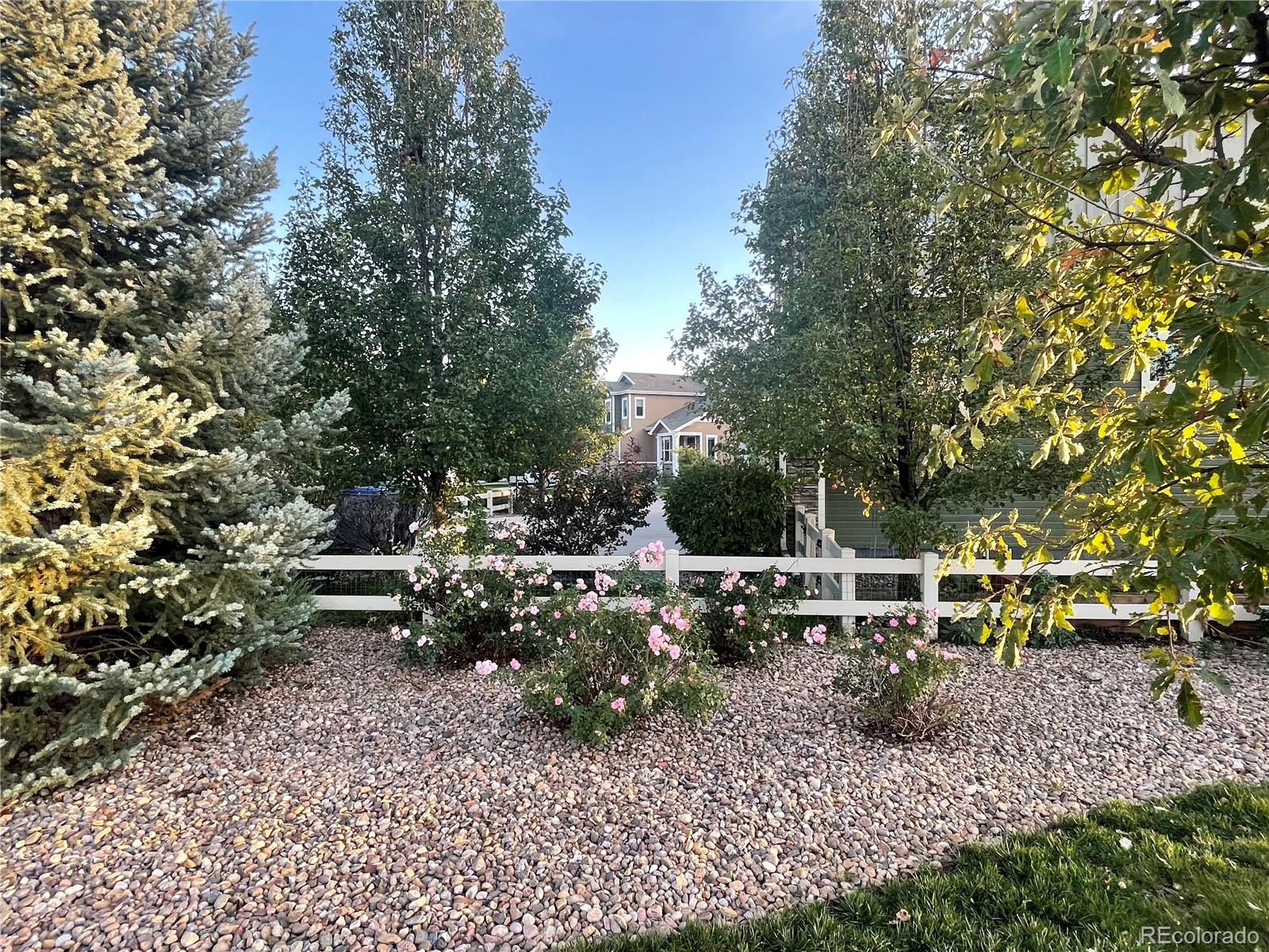 MLS Image #34 for 1617  otis drive,longmont, Colorado