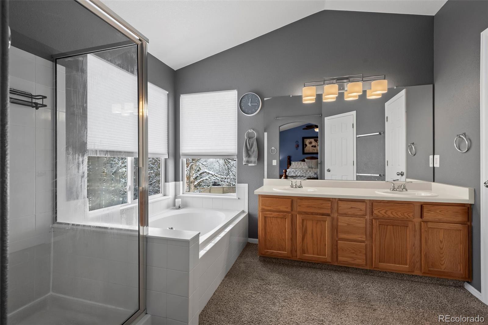 MLS Image #19 for 418  tynan court,erie, Colorado