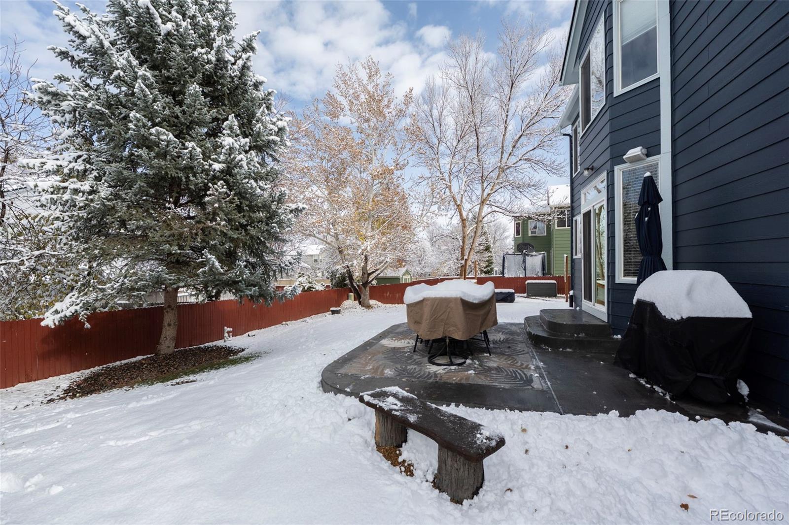 MLS Image #25 for 418  tynan court,erie, Colorado