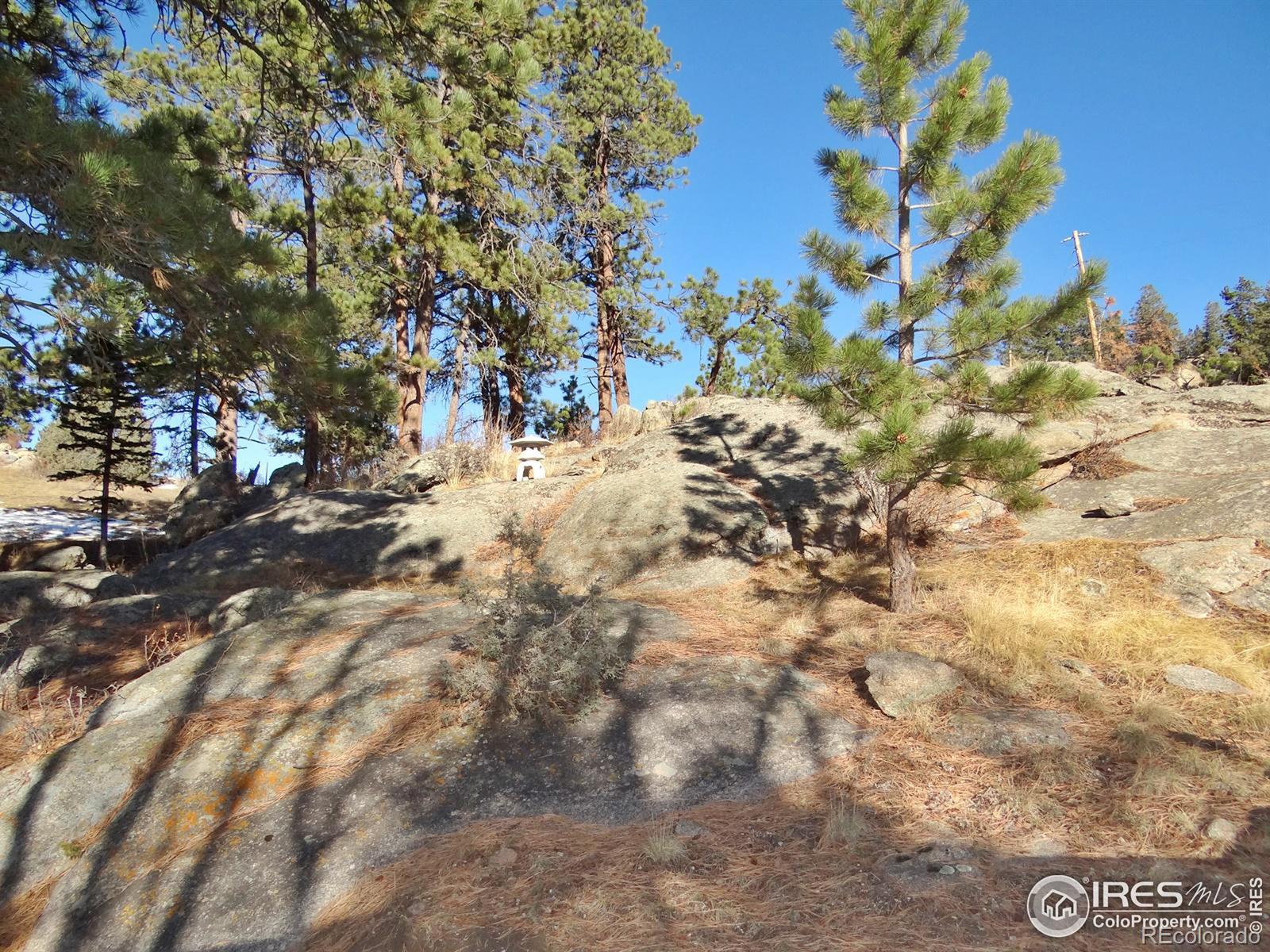 MLS Image #25 for 915  manhead mountain drive,livermore, Colorado