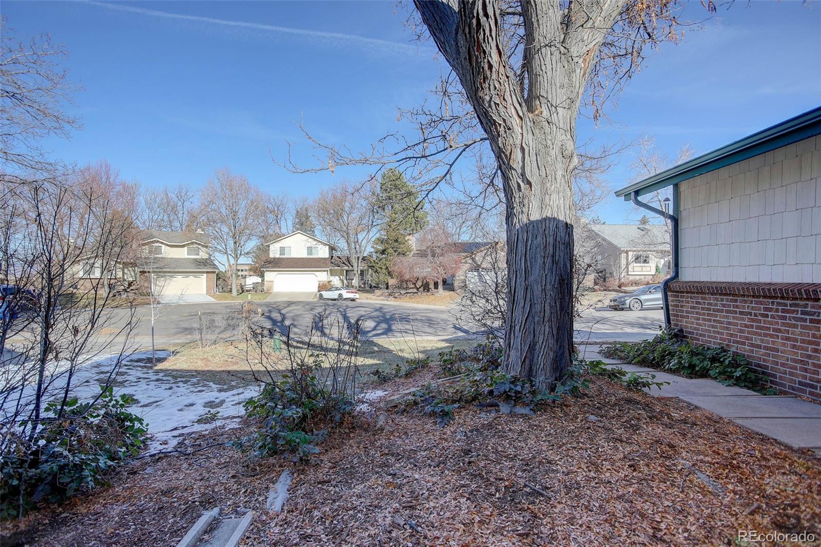 MLS Image #3 for 130  grouse place,highlands ranch, Colorado