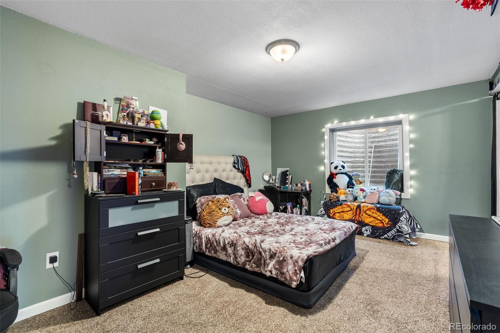 MLS Image #25 for 6047  jorie road,colorado springs, Colorado