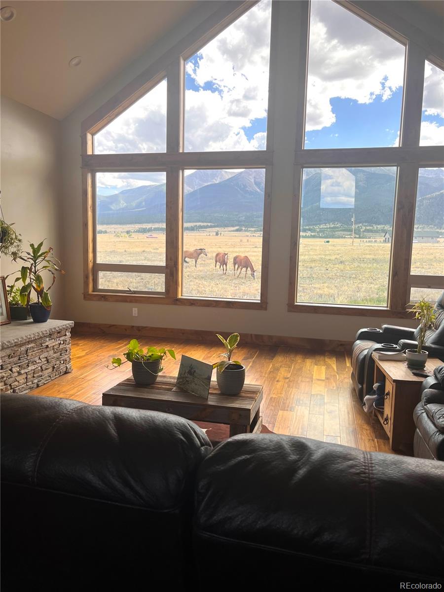 MLS Image #5 for 16901  talons way,buena vista, Colorado