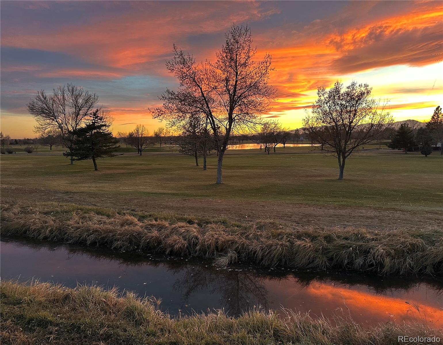 MLS Image #35 for 3405  camden drive,longmont, Colorado