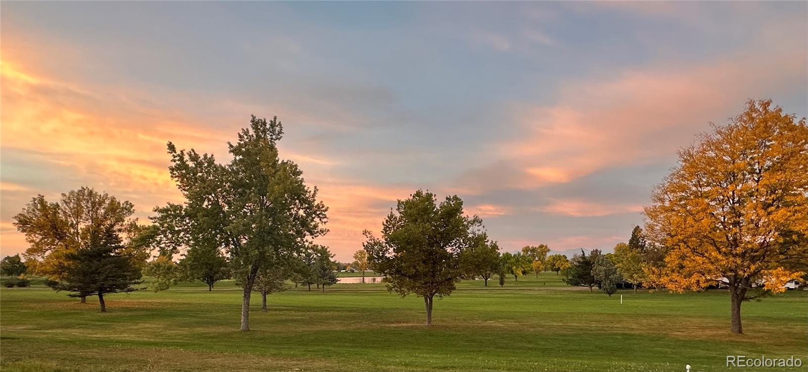 MLS Image #36 for 3405  camden drive,longmont, Colorado