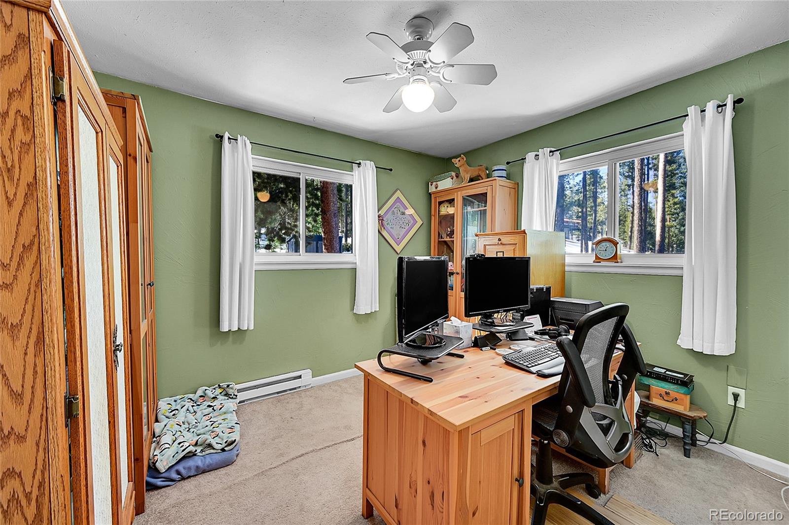 MLS Image #12 for 11097 s wallace avenue,conifer, Colorado