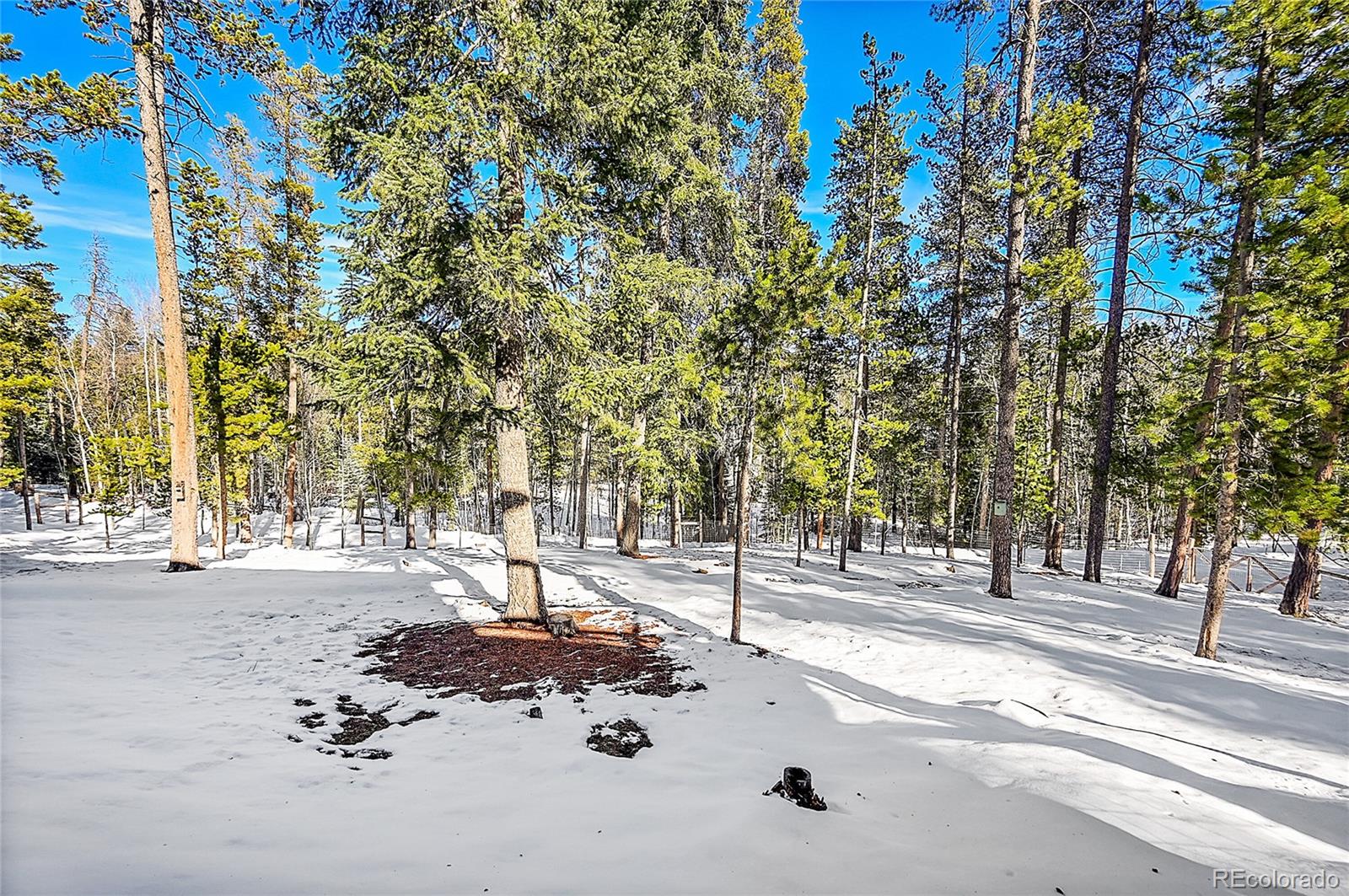 MLS Image #25 for 11097 s wallace avenue,conifer, Colorado