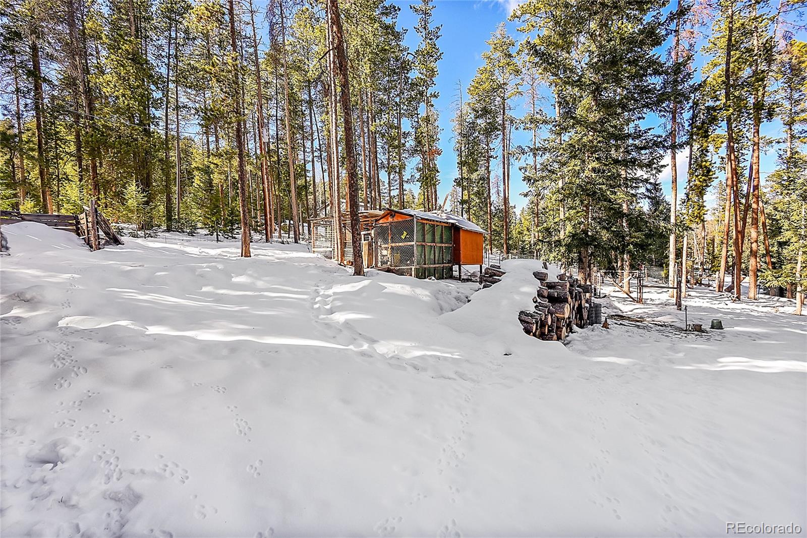 MLS Image #26 for 11097 s wallace avenue,conifer, Colorado