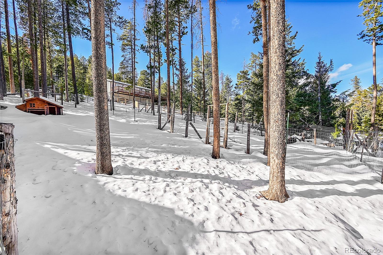 MLS Image #27 for 11097 s wallace avenue,conifer, Colorado