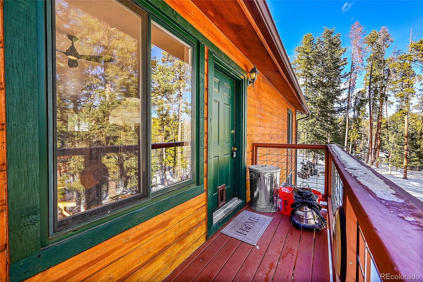 MLS Image #3 for 11097 s wallace avenue,conifer, Colorado